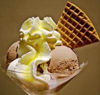 Shree Vijaylaxmi Enterprises - Frozen Food