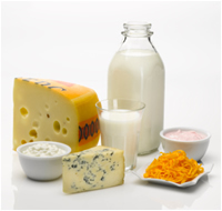 Shree Vijaylaxmi Enterprises - Dairy Products